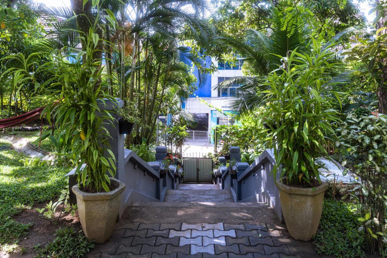 Colonial Homestay *