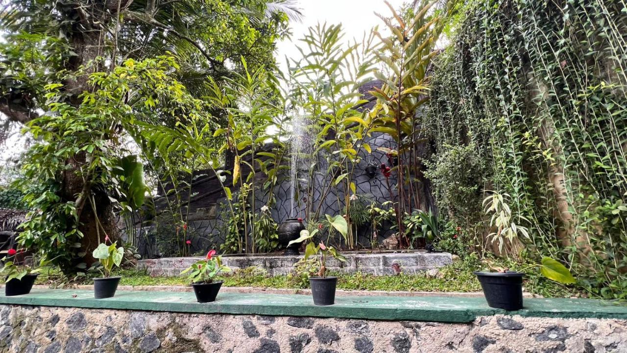 Colonial Homestay *
